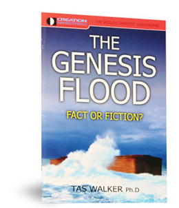 Genesis Flood: Fact or Fiction? Pamphlet