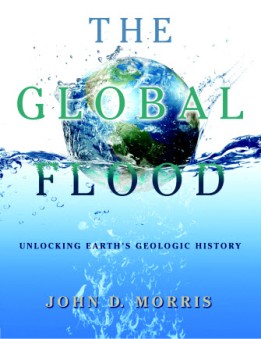 Global Flood (The)