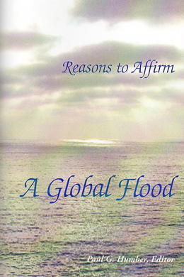 Reasons to Affirm a Global Flood Pamphlet