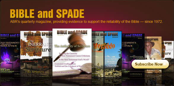 Bible and Spade Magazine